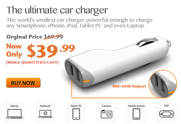 World Smallest Car Charger