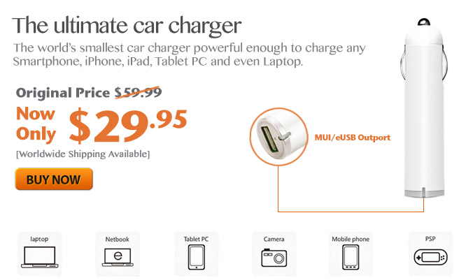 World Smallest Car Charger